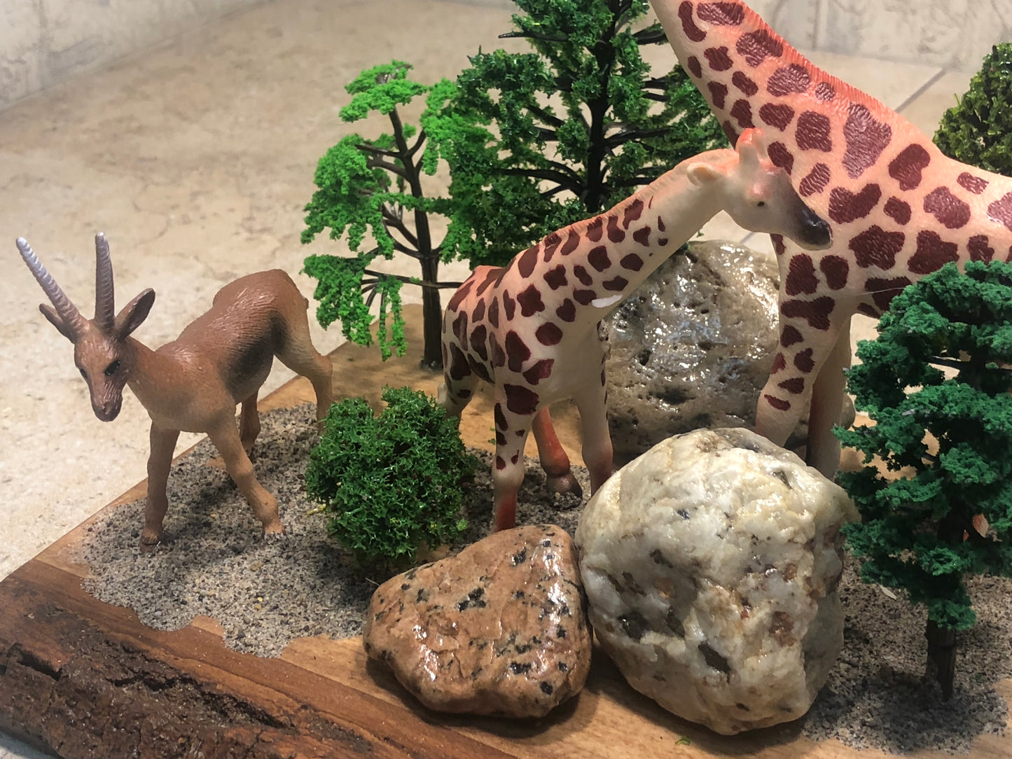 "Giraffes Are Us"