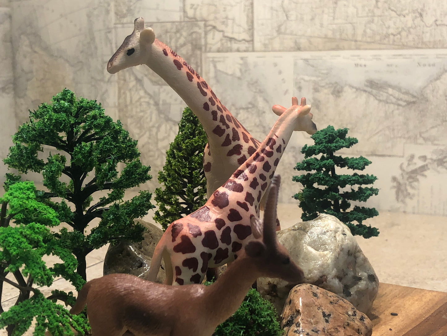 "Giraffes Are Us"