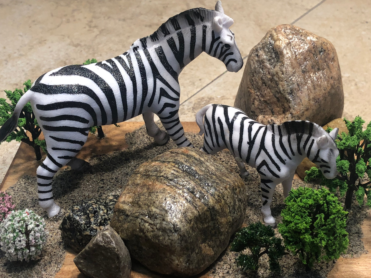 "Zebra World"