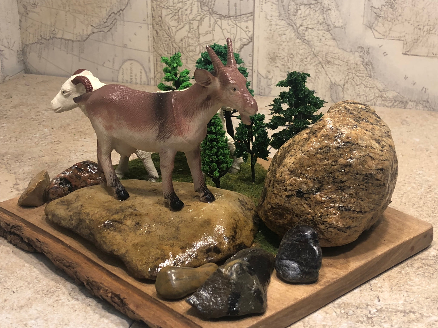 "Animals of the Hills"