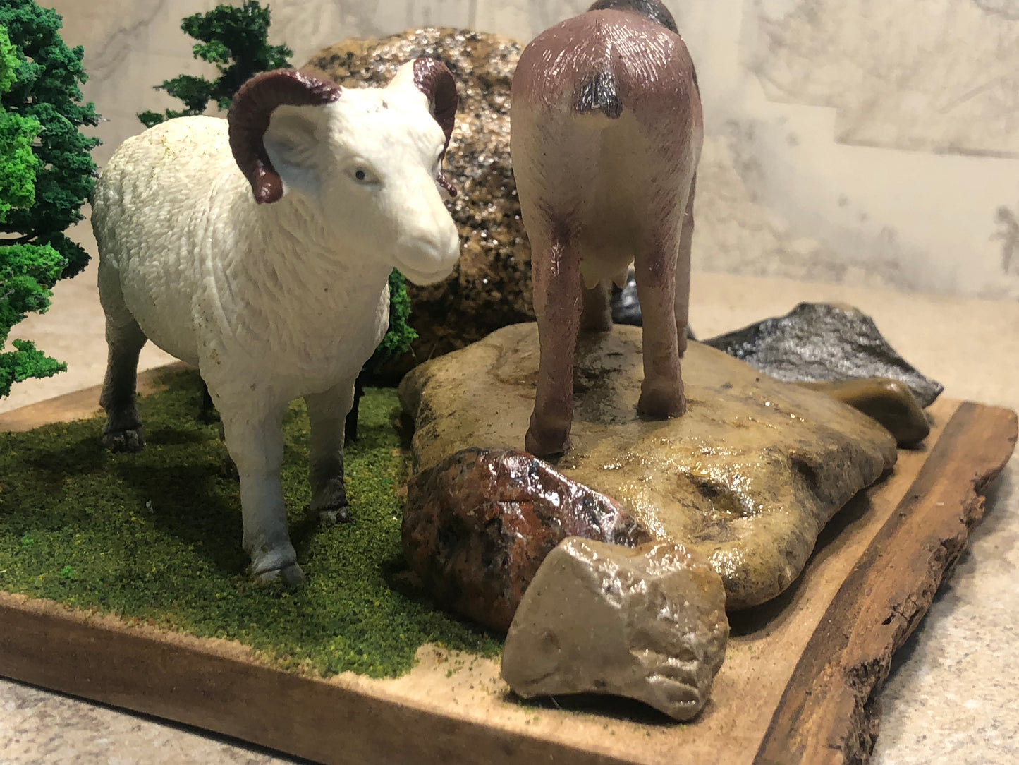 "Animals of the Hills"