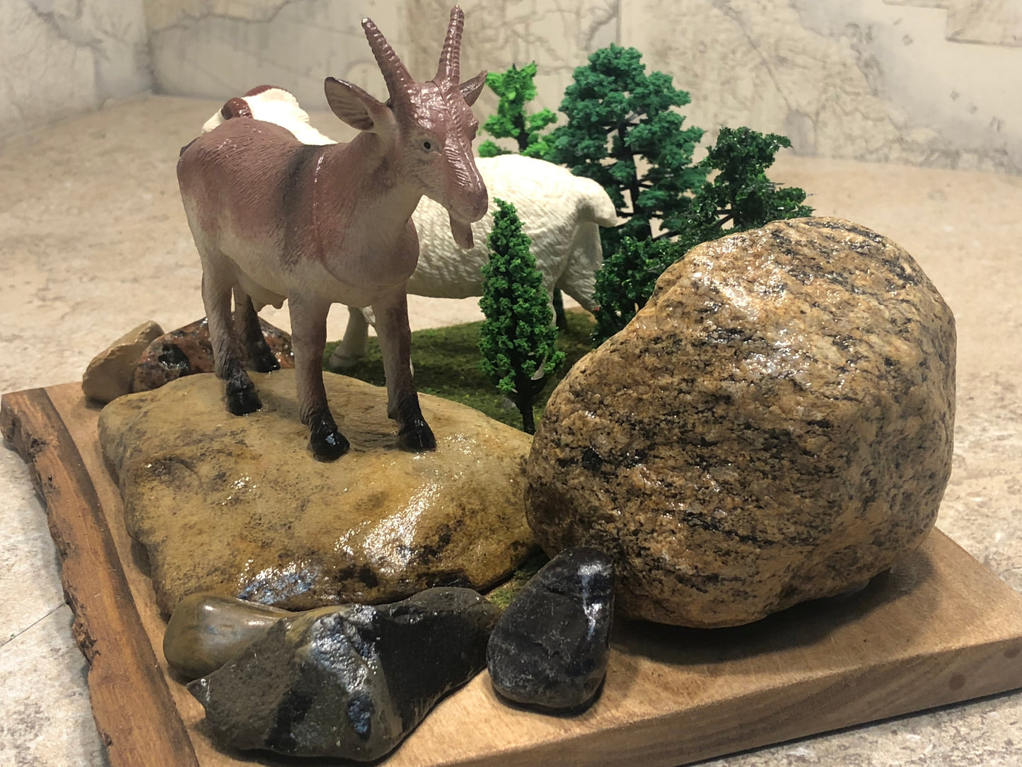 "Animals of the Hills"