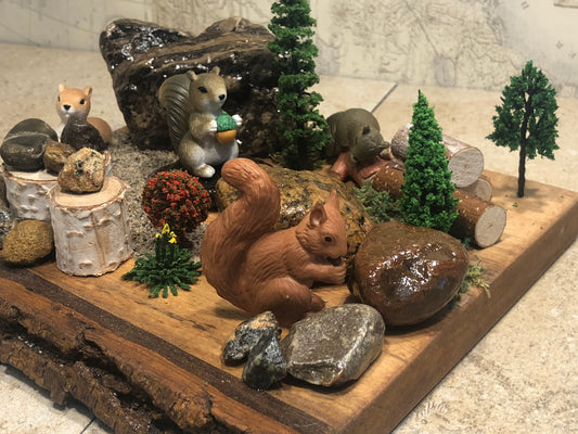 "A Squirrel's World"