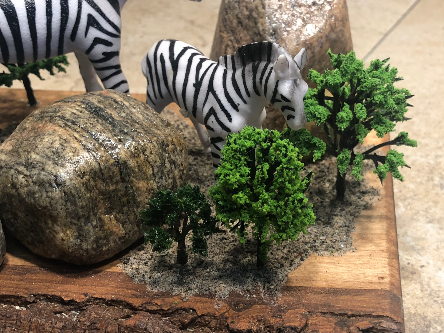 "Zebra World"