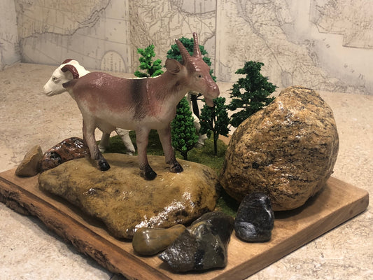 "Animals of the Hills"