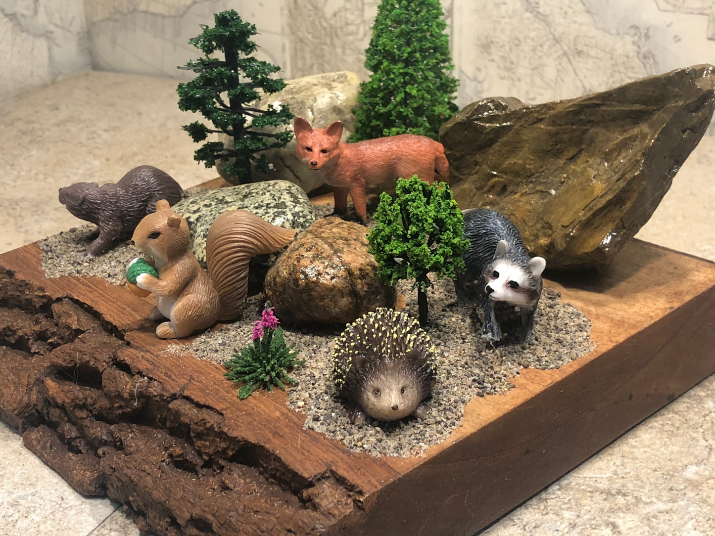 "Squirrel and Friends"