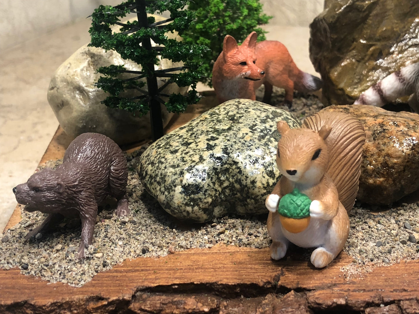 "Squirrel and Friends"