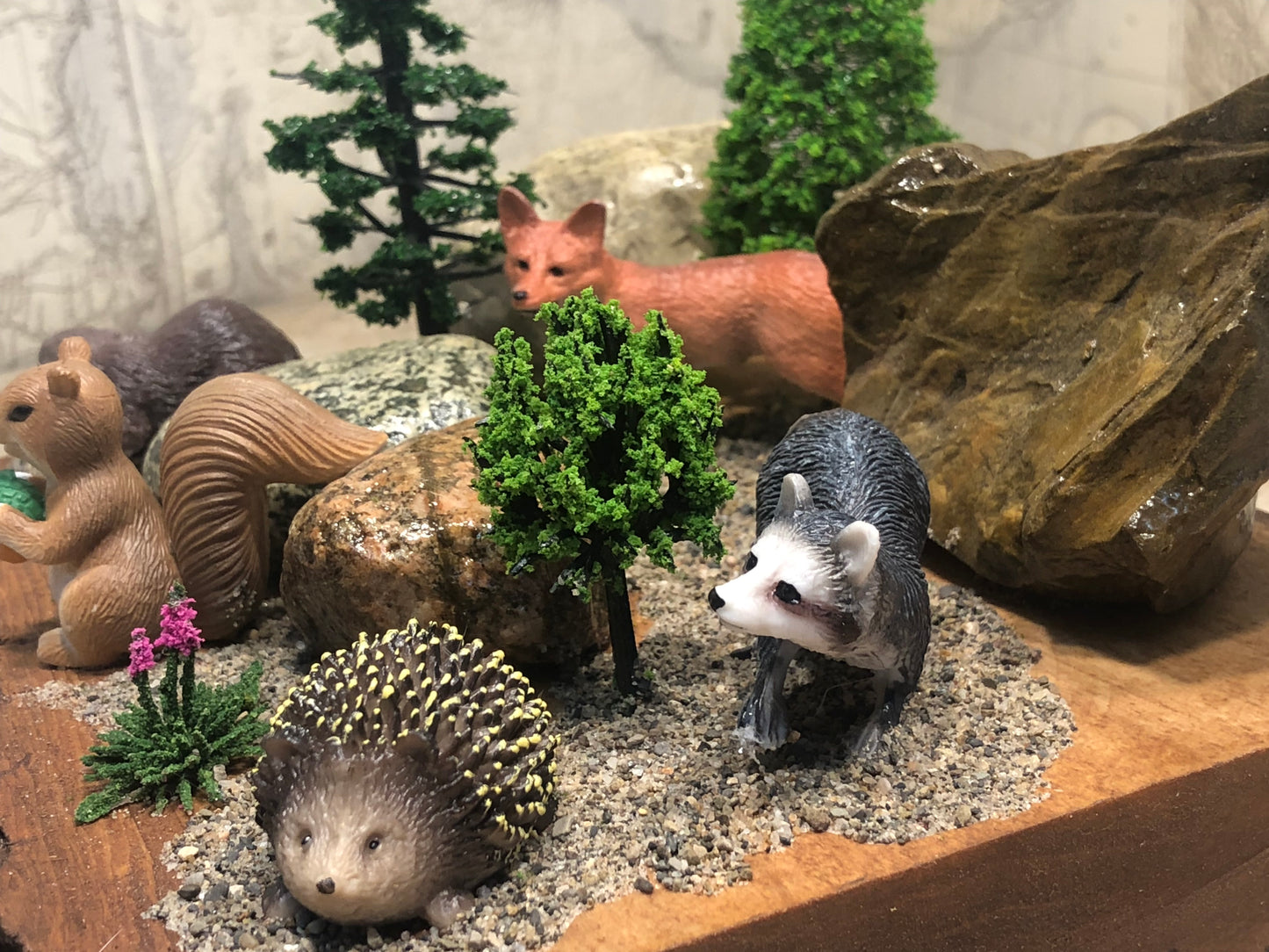 "Squirrel and Friends"
