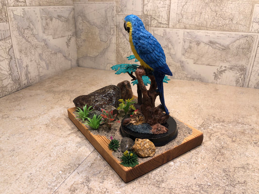 "Blue Bird Watching"