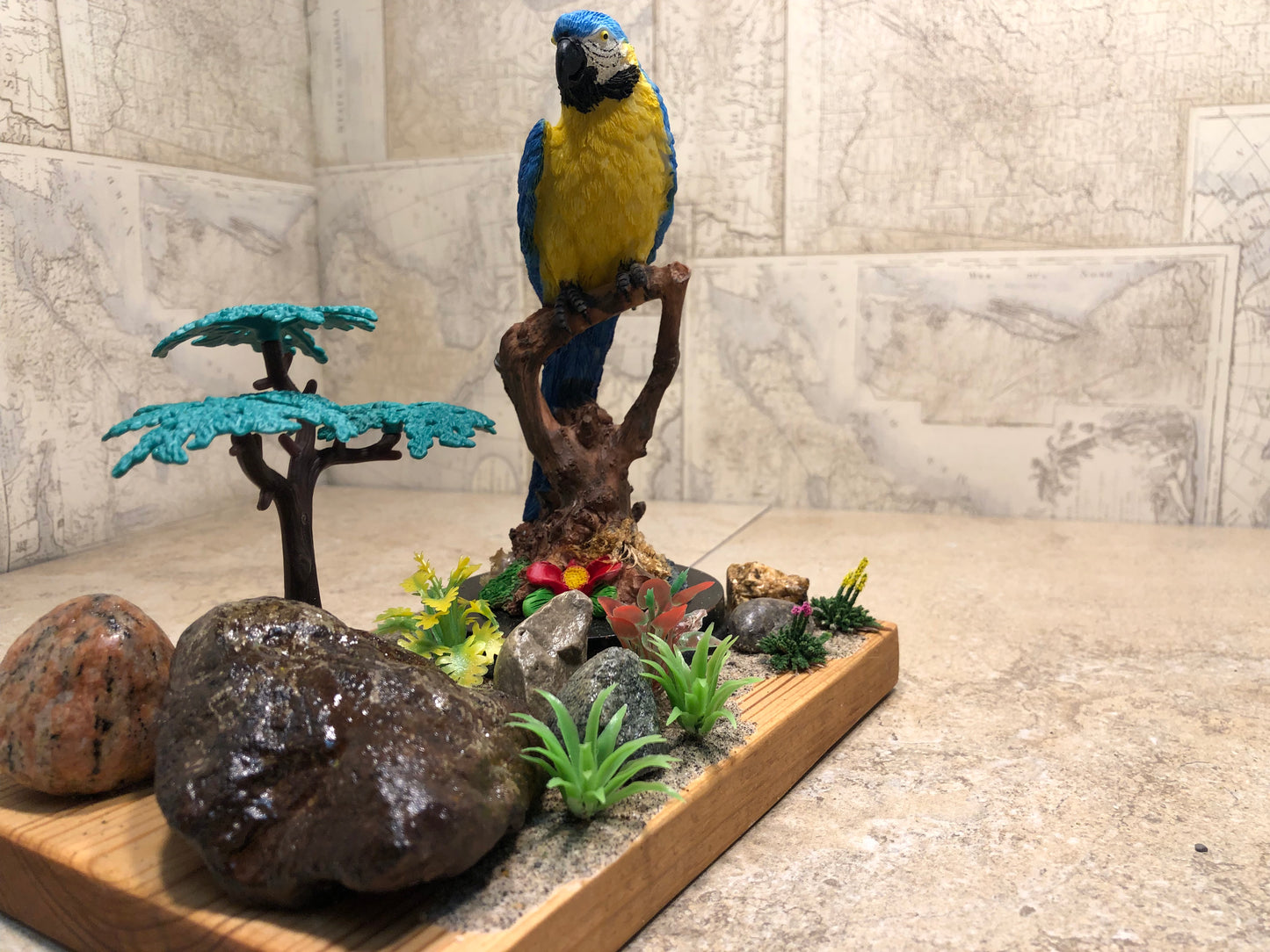 "Blue Bird Watching"